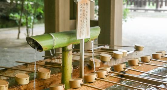 Blog Images